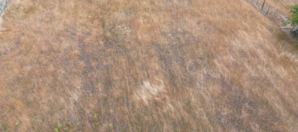 Imóvel comercial de 2 divisões em Vecchiano, Italy N.º 35761 17