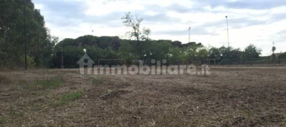 Imóvel comercial de 2 divisões em Vecchiano, Italy N.º 35761 14