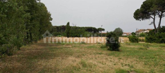 Imóvel comercial de 2 divisões em Vecchiano, Italy N.º 35761 24