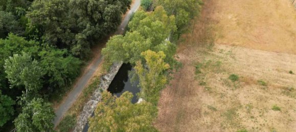 Imóvel comercial de 2 divisões em Vecchiano, Italy N.º 35761 23