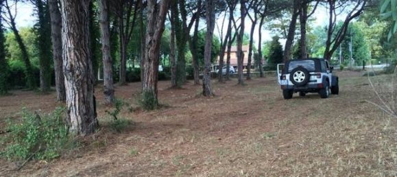 Imóvel comercial de 2 divisões em Vecchiano, Italy N.º 35761 9