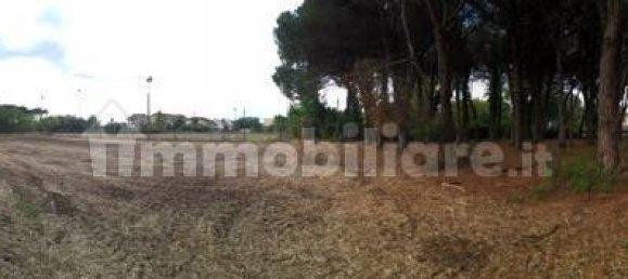 Imóvel comercial de 2 divisões em Vecchiano, Italy N.º 35761 13