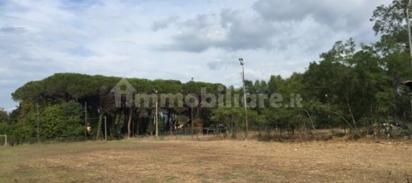 Imóvel comercial de 2 divisões em Vecchiano, Italy N.º 35761 11