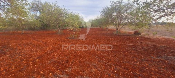 Terrain à Loule, Portugal 1490m² No. 38704 9