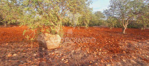 Terrain à Loule, Portugal 1490m² No. 38704 13