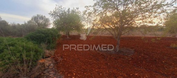 Terrain à Loule, Portugal 1490m² No. 38704 4