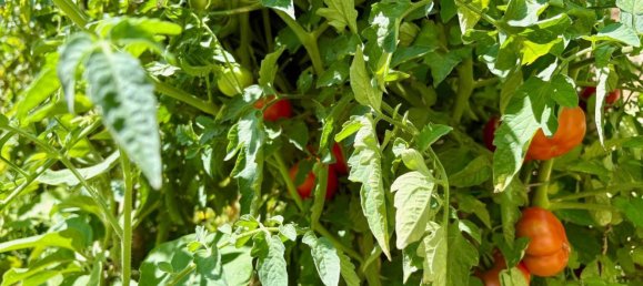 Apartamento T4 em Monte San Vito, Italy N.º 331706 21