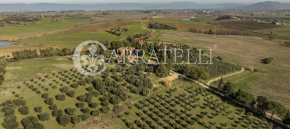 26 bedrooms Villa in Castiglione del Lago, Italy No. 46303 2