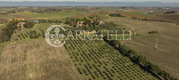 26 bedrooms Villa in Castiglione del Lago, Italy No. 46303 11