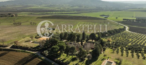 26 bedrooms Villa in Castiglione del Lago, Italy No. 46303 5