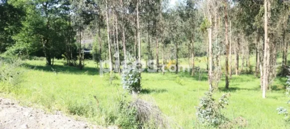 Земельный участок в Ведра, Испания № 74538 11