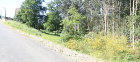 Земельный участок в Ведра, Испания № 74538 10