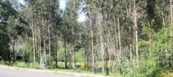 Земельный участок в Ведра, Испания № 74538 2