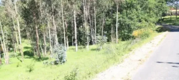 Земельный участок в Ведра, Испания № 74538 12