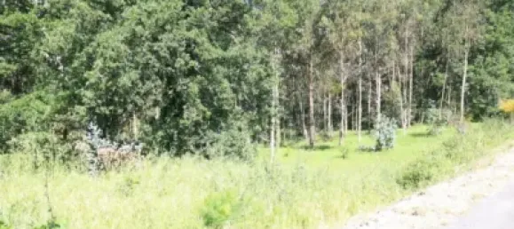 Земельный участок в Ведра, Испания № 74538 5