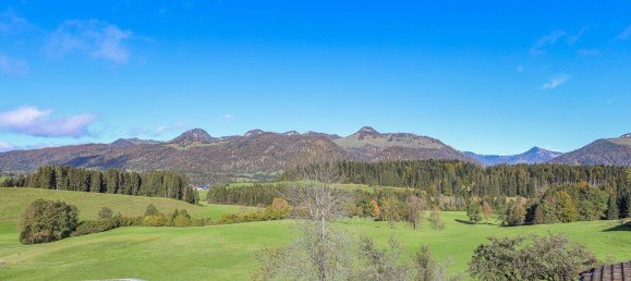 Ático de 4 habitaciónes en Schwendt, Austria No. 120786 13