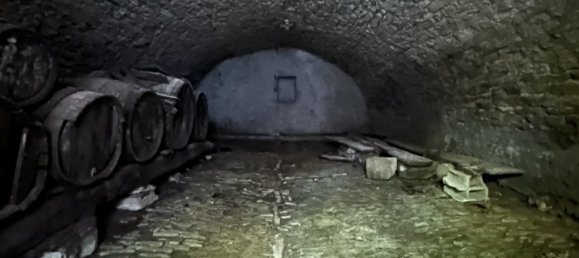 4 غرف نوم تاون هاوس في Ligneville, France رقم 87499 14