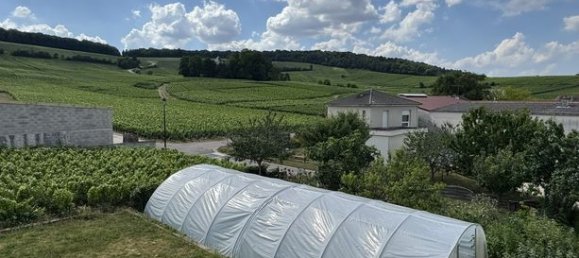 4 chambres Châteaux à Écueil, France No. 311551 14