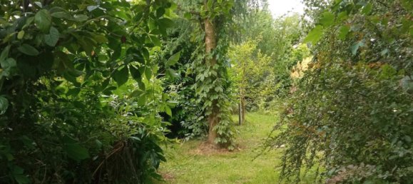 1 Schlafzimmer Grundstück in Demmin, Germany, Nr. 246827 7