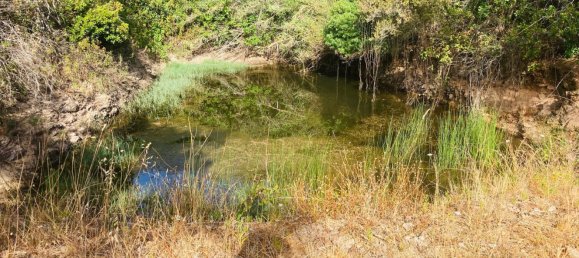 Casa T1 em Silves, Portugal N.º 210835 6