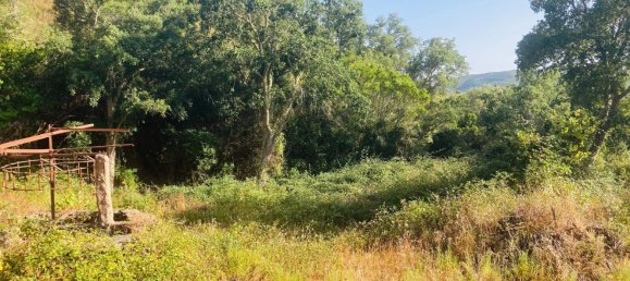 Casa T1 em Silves, Portugal N.º 210835 9