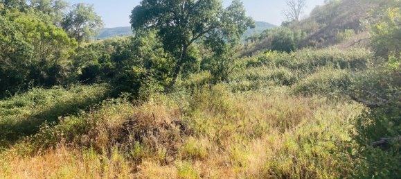 Casa T1 em Silves, Portugal N.º 210835 10