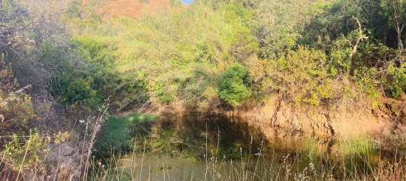 Casa T1 em Silves, Portugal N.º 210835 7