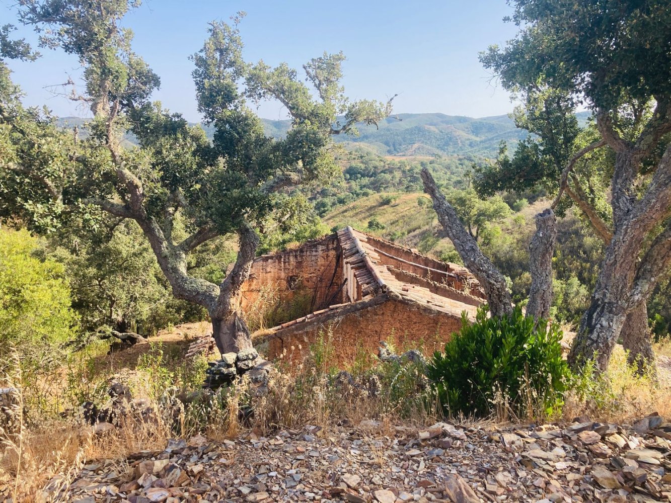 1 bedroom House in Silves, Portugal No. 210835