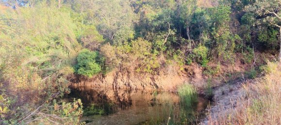 Casa T1 em Silves, Portugal N.º 210835 16