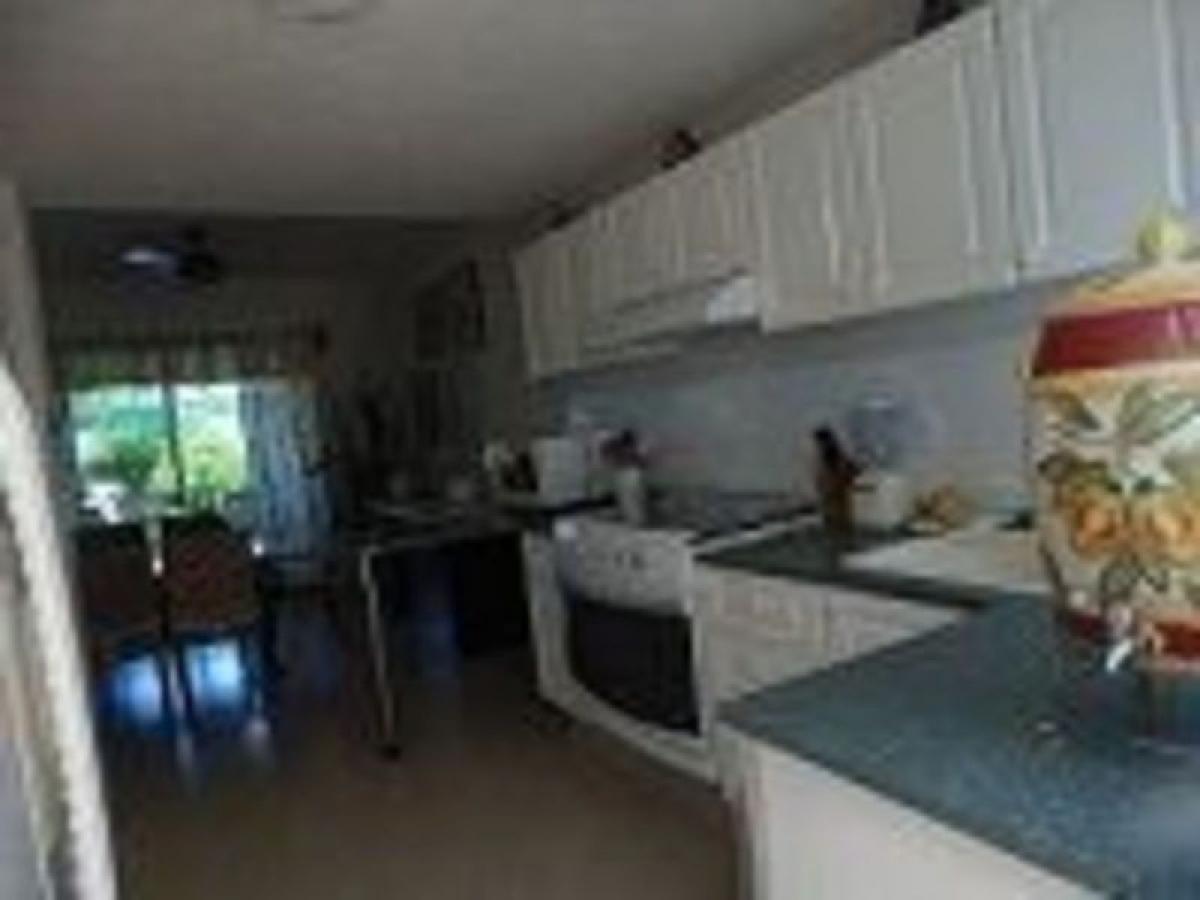 4 bedrooms House in Guerrero, Mexico No. 151835