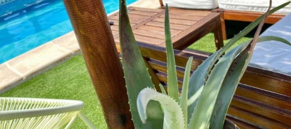 Вилла с 4 спальнями в Сьюдад Кесада, Испания № 145536 13