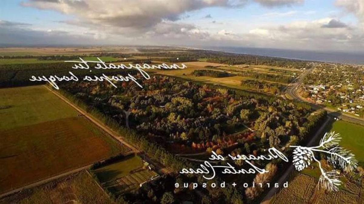  Land in Mar del Plata, Argentina No. 121750