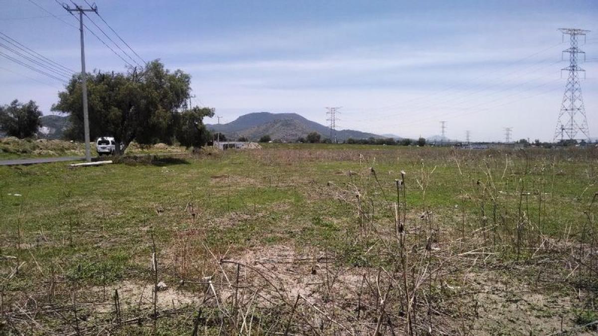  قطعة أرض في Acolman, Mexico رقم 203165