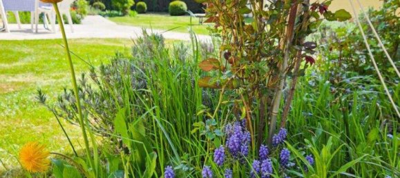 8-salle Maison de ville à Gmund, Austria No. 246341 32