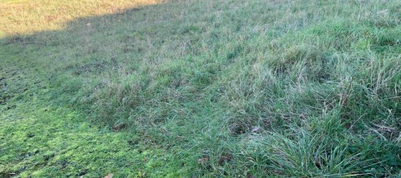 577m² Land in Vernou-sur-Brenne, France No. 46288 2