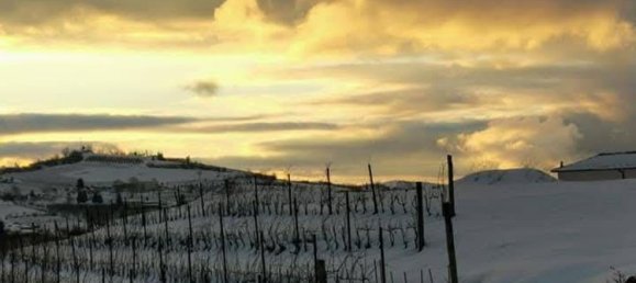 7 rooms House in Santo Stefano Belbo, Italy No. 258831 12