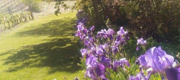 7 rooms House in Santo Stefano Belbo, Italy No. 258831 9