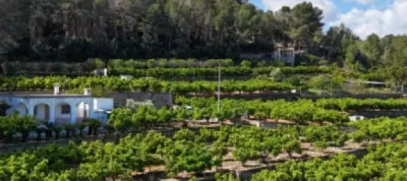 2 chambres Maison à Pego, Spain No. 190082 10