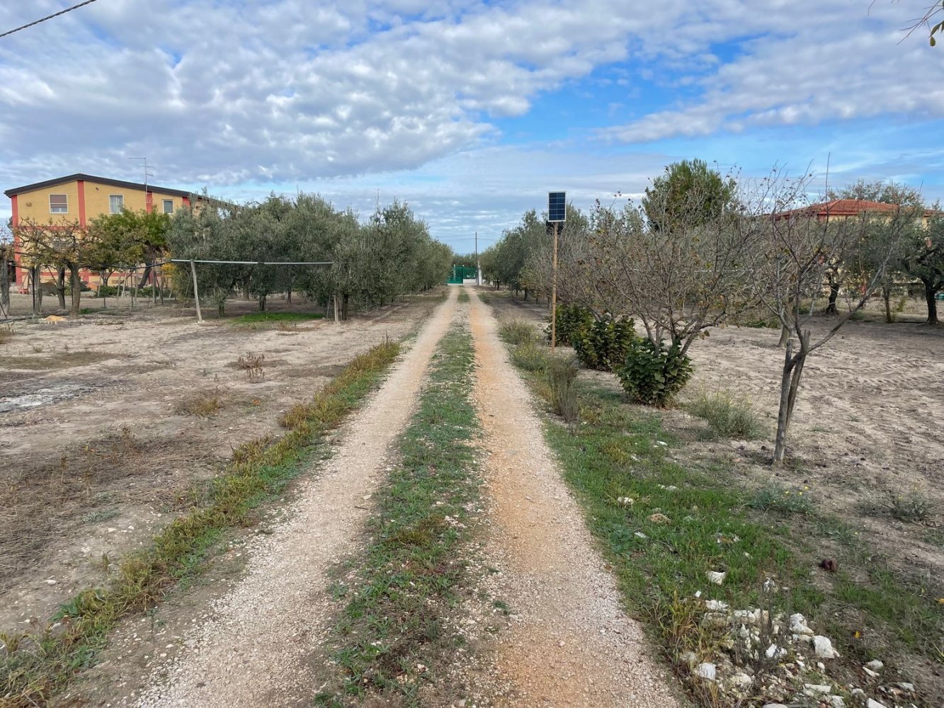 2 rooms House in Foggia, Italy No. 256851