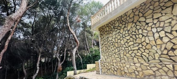 4 bedrooms Villa in Dehesa De Campoamor, Spain No. 184778 11