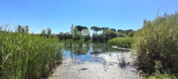 Grundstück in Salamanca, Spain 48m², Nr. 141390 35