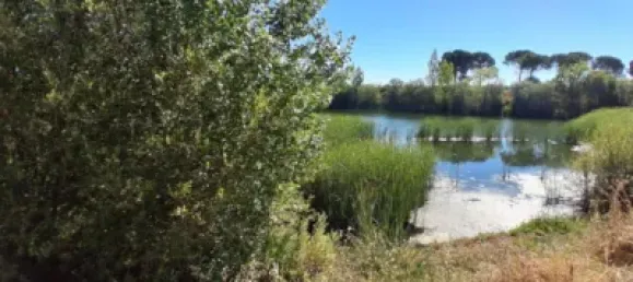 Grundstück in Salamanca, Spain 48m², Nr. 141390 31