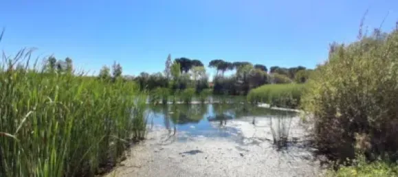 Grundstück in Salamanca, Spain 48m², Nr. 141390 34