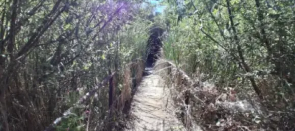 Grundstück in Salamanca, Spain 48m², Nr. 141390 30