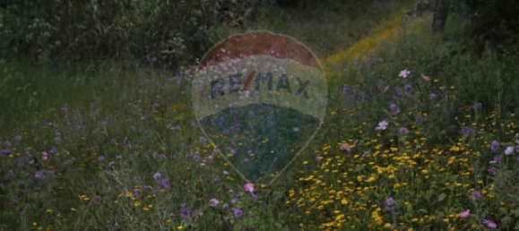 Grundstück in Sintra, Portugal 35000m², Nr. 70158 6