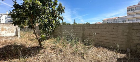 Дом с 9 спальнями в Сан Браш ди Алпортел, Португалия № 37047 13