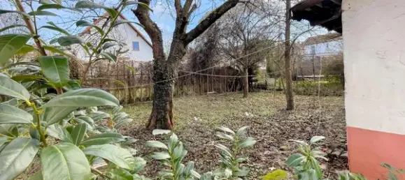 6 rooms Townhouse in Rhineland-Palatinate, Germany No. 172930 3