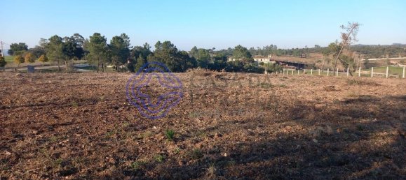 Terrain à Tomar, Portugal 5600m² No. 79617 16