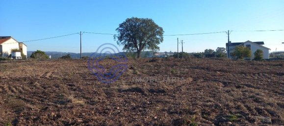 Terrain à Tomar, Portugal 5600m² No. 79617 8