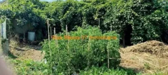 5 غرف نوم منزل في Pontevedra, Spain رقم 182670 47